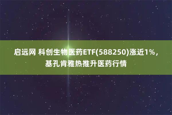 启远网 科创生物医药ETF(588250)涨近1%,基孔肯雅热推升医药行情